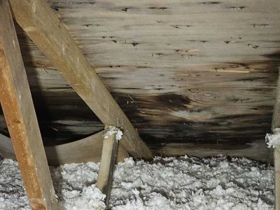 Roofing Repair Services