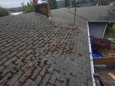 Whole Roof Cleaning Services