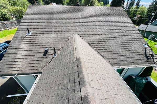 After Roof Cleaning Services After Roof Cleaning Services