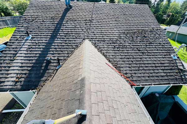 Before Roof Cleaning Services Before Roof Cleaning Services